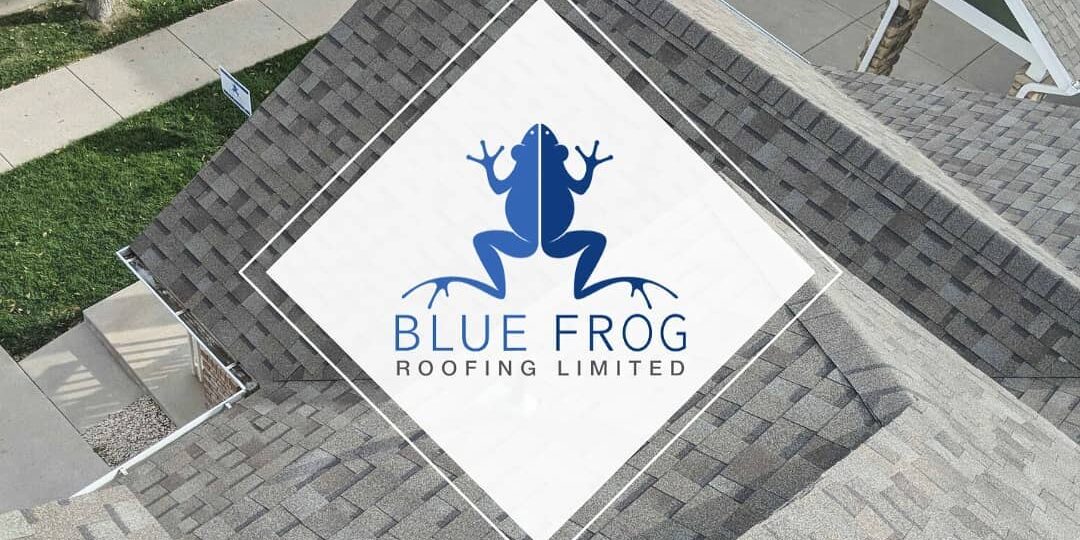 10-1 Roof Inspection