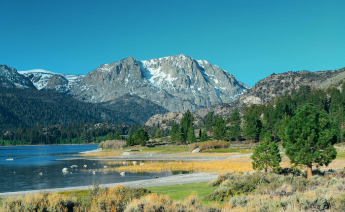 roof, roofing, roof repair, roof replacement, roofing company, roofing contractor, hail damage, wind damage, storm damage, roof leak, shingles, metal roof, flat roof, asphalt shingles, wood shingles, shake shingles, tile shingles, tile roof, TPO, rolled roofing, ridge cap