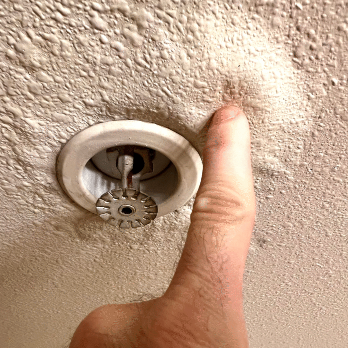 Roof Leaking Denver CO