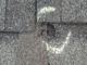 Hail Damage Roofing