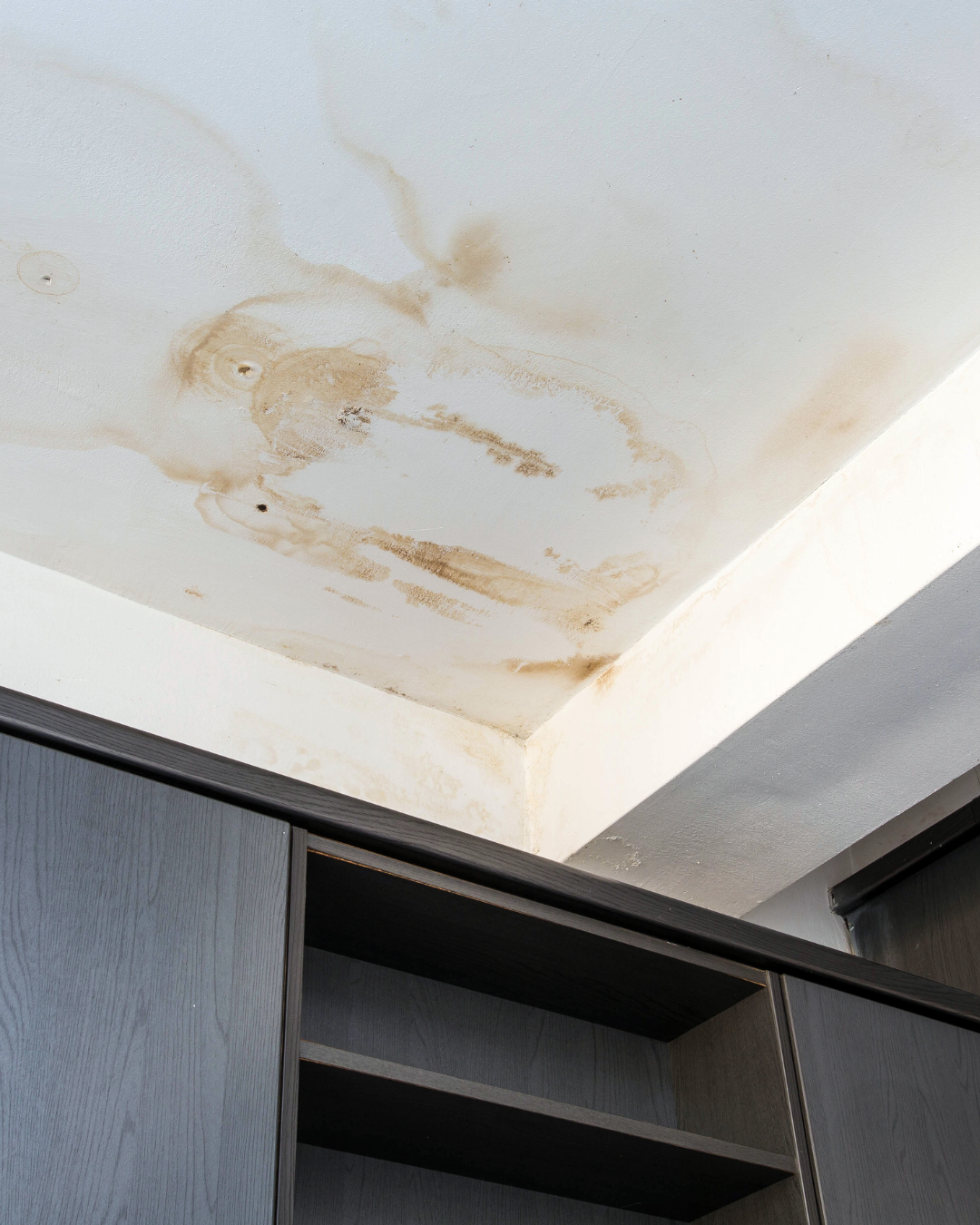 Emergency Roof Repair Loveland CO